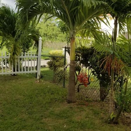 Cynson Villa Holiday Accommodations Крайст-Черч Экстерьер фото